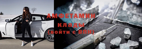 ПСИЛОЦИБИНОВЫЕ ГРИБЫ Заволжье