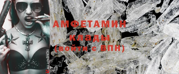 ПСИЛОЦИБИНОВЫЕ ГРИБЫ Заволжье