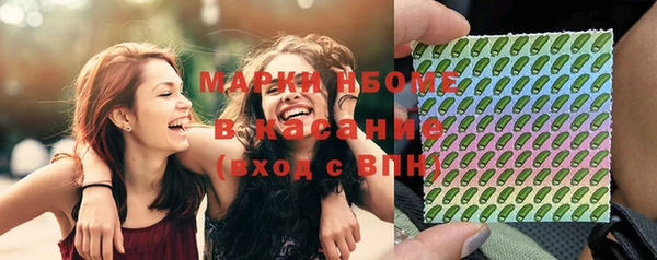 ПСИЛОЦИБИНОВЫЕ ГРИБЫ Заволжье