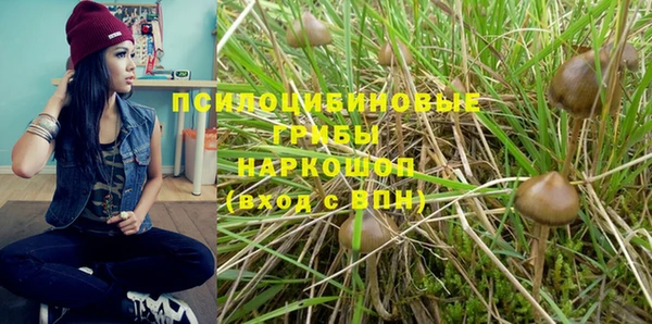 эйфоретик Заводоуковск