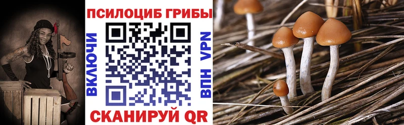 Купить  Волгореченск  Галлюциногенные грибы Magic Shrooms 